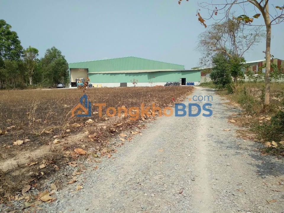 Bán Đất Vĩnh Tân Tân Uyên 300m² - Sổ Đỏ Rõ Ràng, Giá Tốt