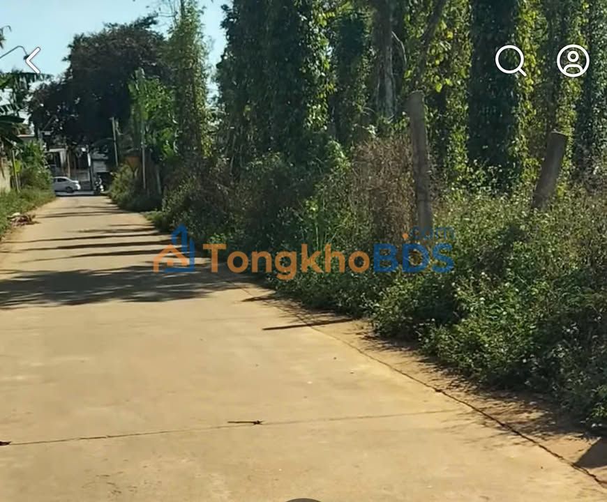 Đất nền Kim Tân - Cư Kuin 147m² - Sổ đỏ sẵn sang, đầu tư sinh lời