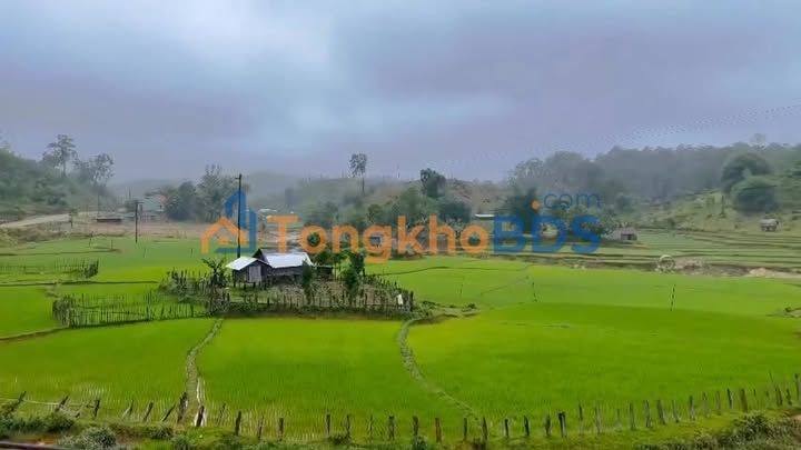 Đất nền Xã Hiếu, Kon Plông - 4300m² view đồng lúa chín vàng