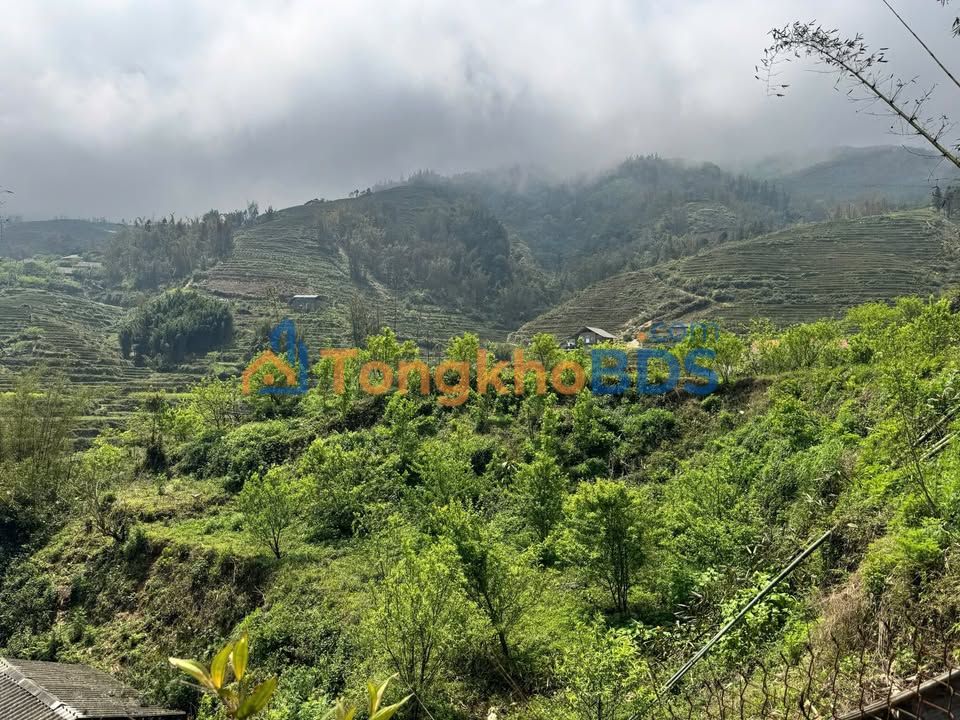 Đất nền Tả Phìn 1775m² - View lúa, Sổ đỏ thổ cư, Giá 4 tỷ