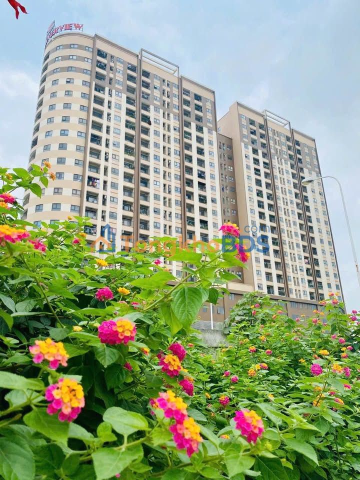 Chung cư Tây Hồ Riverview 72m² - 2PN Hướng Nam View Sông Hồng - Giá 6.6 Tỷ