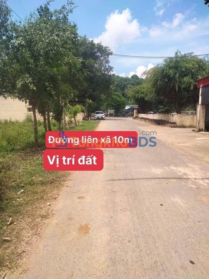 Bán Đất Cẩm Thủy 225m² - Mặt Tiền Kinh Doanh, Sổ Đỏ Đấu Giá