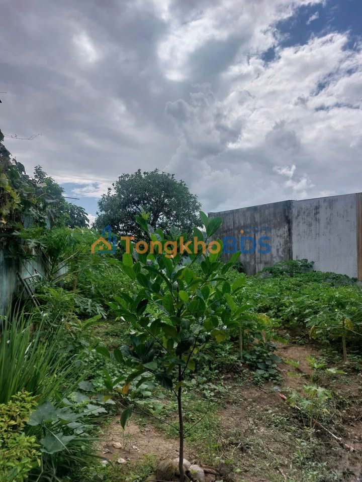 Đất Vàng 615m² Tặng Nhà Mặt Tiền Hoàng Phan Thái, Bến Lức - Giá 5.5 Tỷ