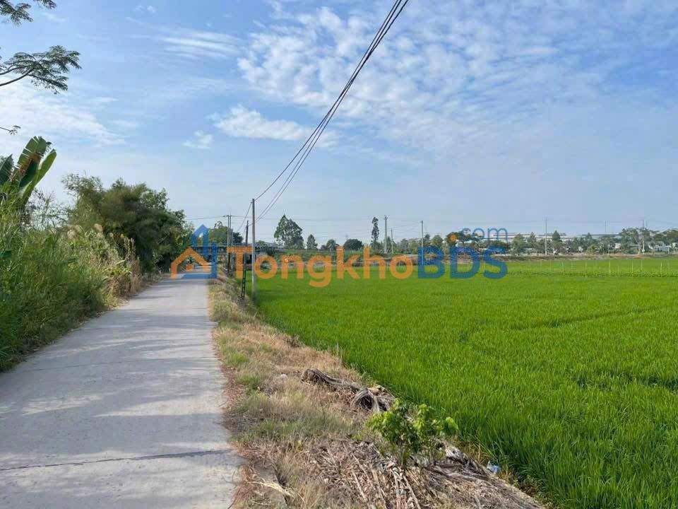 Đất Lấp Vò Đồng Tháp 700m² Mặt Tiền Đường Đan Giá 550 Triệu - Sổ Hồng Sẵn Sàng