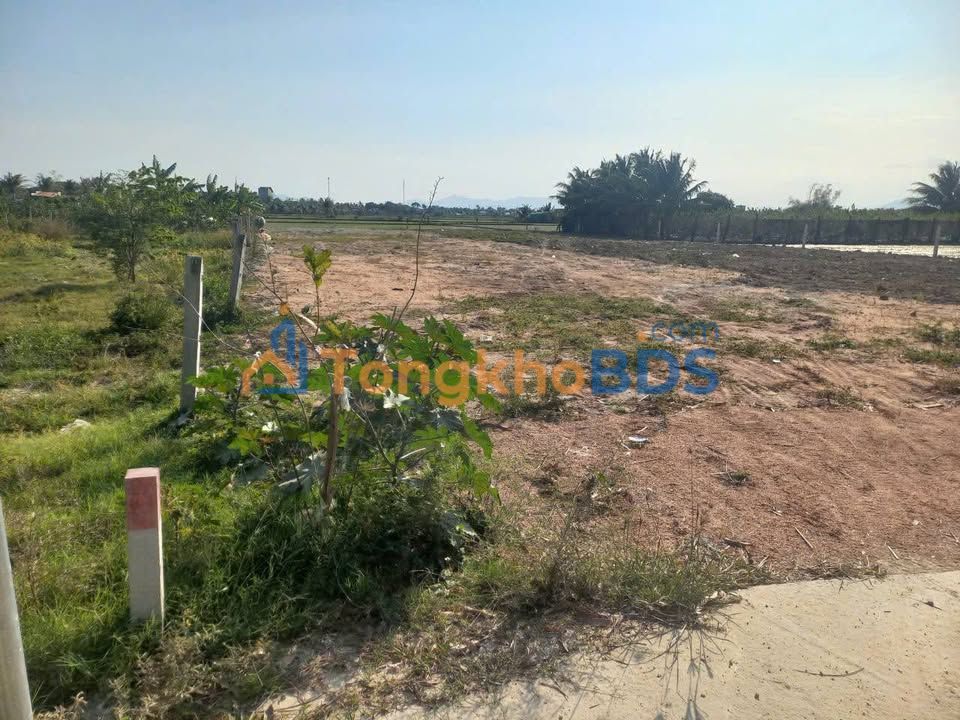 Đất Vườn 510m² Xã Thanh Hải - Giá Tốt 680 Triệu