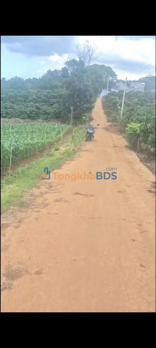 Đất 1500m² Tân Hà, Lâm Hà: 2 Mặt Tiền Đường Bê Tông, Giá 1.2 Tỷ