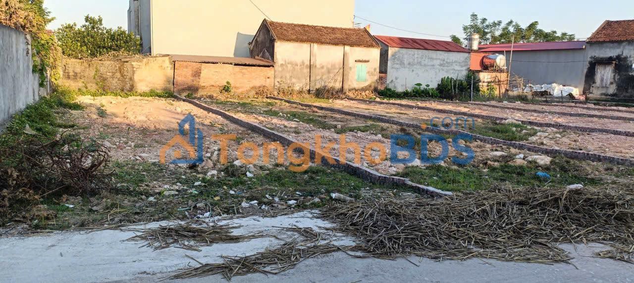 Bán đất 101m² Mai Trung, Hiệp Hòa, Bắc Giang - Sổ đỏ sẵn, ô tô thông