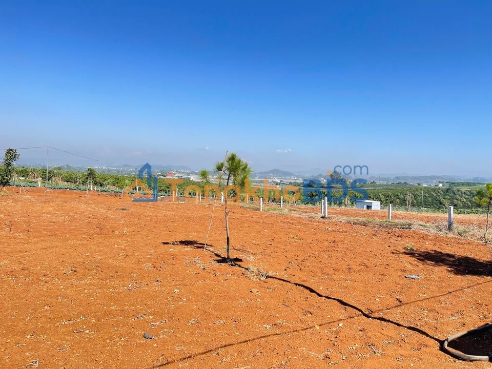 Đất Nền Nghỉ Dưỡng Đức Trọng 250m² - Sổ Thổ Cư, Giá 790 Triệu