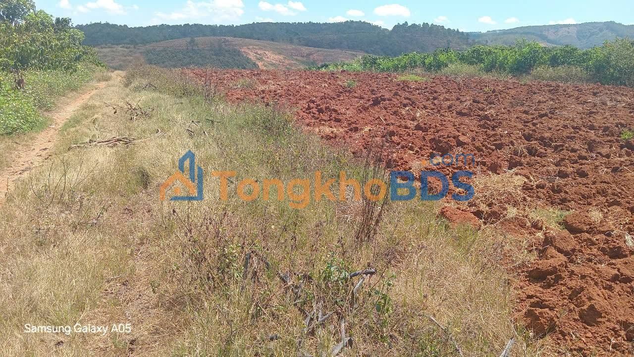 Bán Gấp Đất Vườn 22.000m² Đức Trọng - Sổ Hồng Riêng