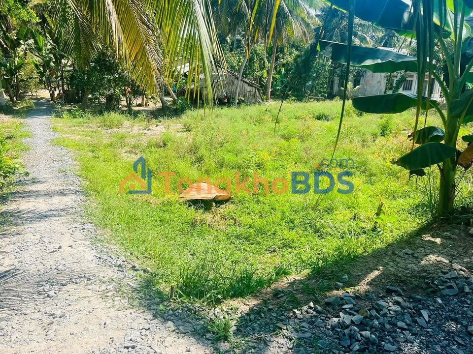 Đất Vĩnh Long 165m² - Sổ Hồng Thổ Cư 50m² - Giá 280 Triệu