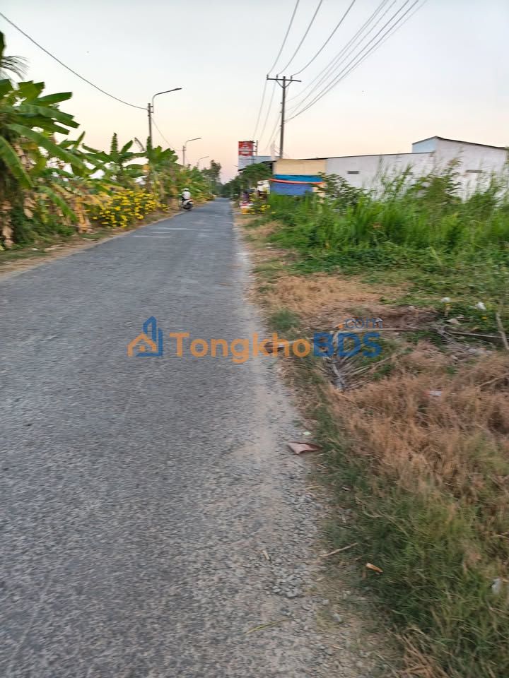 Bán Gấp Đất Vĩnh Long 1963m² Mặt Tiền Đường Huyện 31B - 1.8 Tỷ