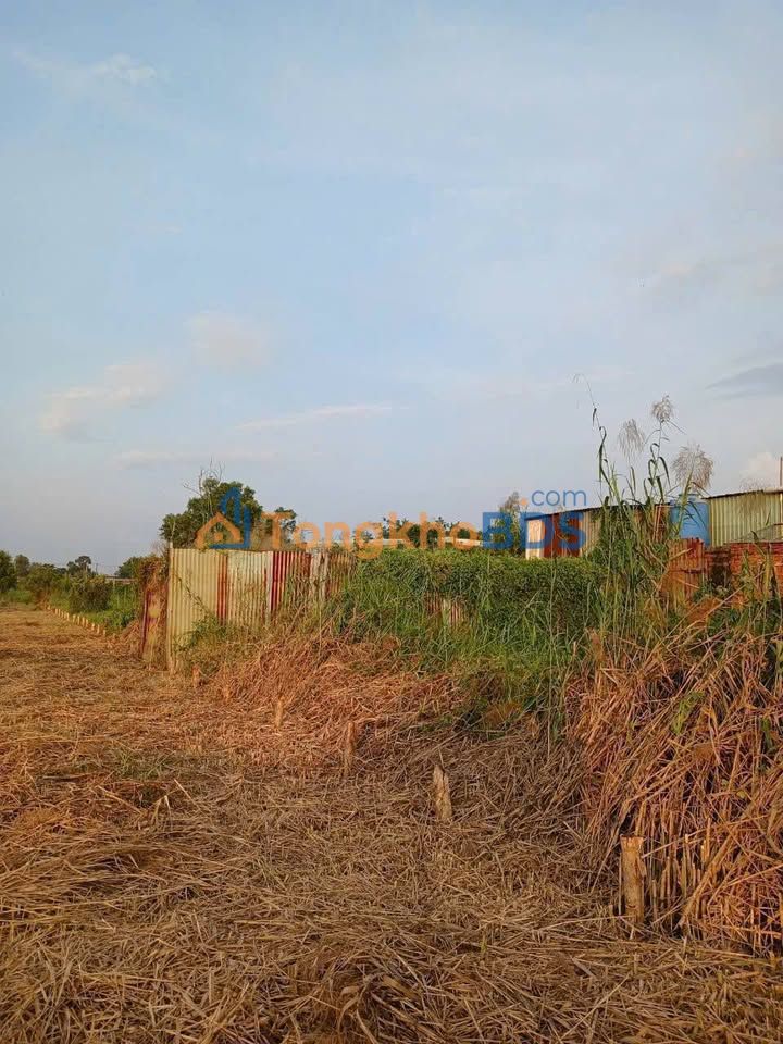 Đất Nền Giá Rẻ 44m² Đường Vĩnh Lộc, Bình Tân - Đầu Tư Sinh Lời