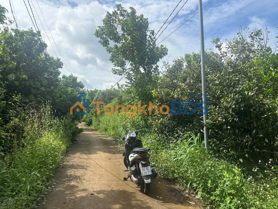 Đất Vườn 1500m² Mặt Tiền Bê Tông 30m - Long Khánh, Đồng Nai - Sổ Hồng 2 Tỷ