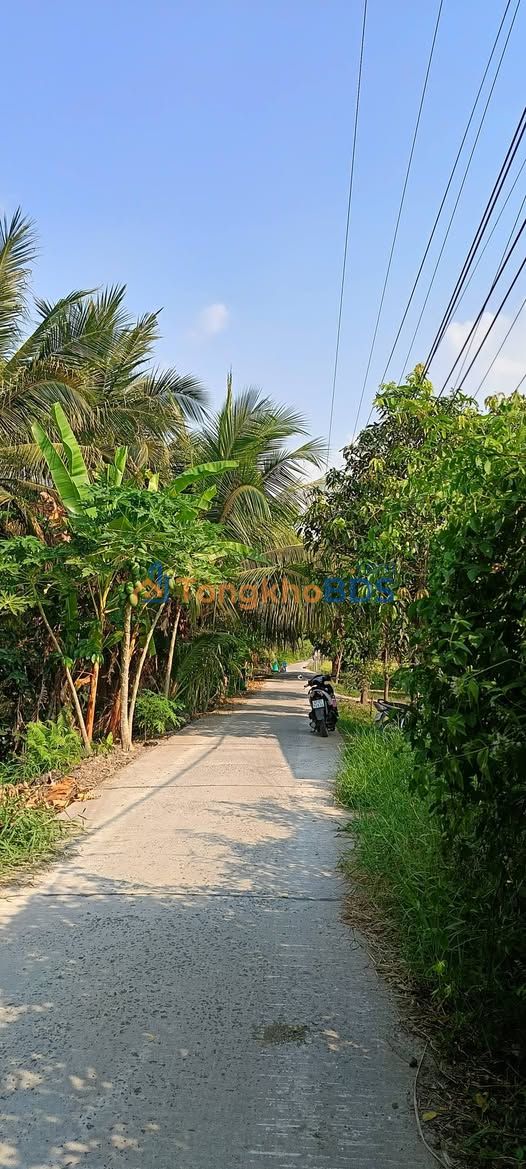 Bán Đất Vườn 1000m² Mặt Tiền Đường Dalg, Châu Đốc - Giá 1.05 Tỷ