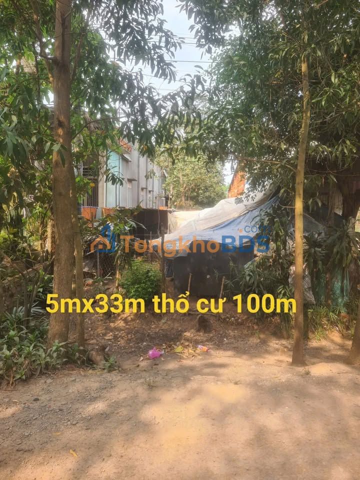 Đất Nền Mặt Tiền Nhựa Trảng Bàng 165m² - 1 Tỷ