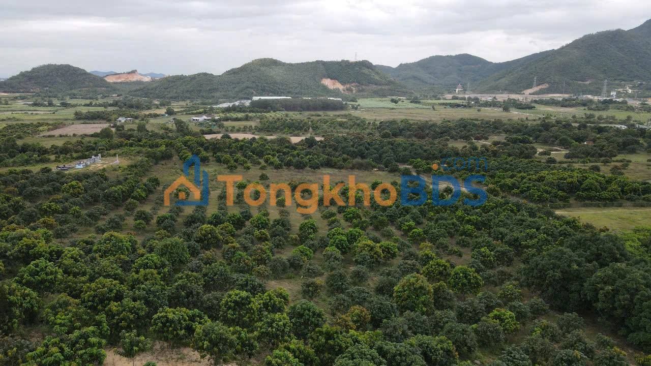 Farm Nghỉ Dưỡng 130.000m² Vạn Lương, Khánh Hòa - Tiềm Năng Tăng Trưởng Vùng Kinh Tế