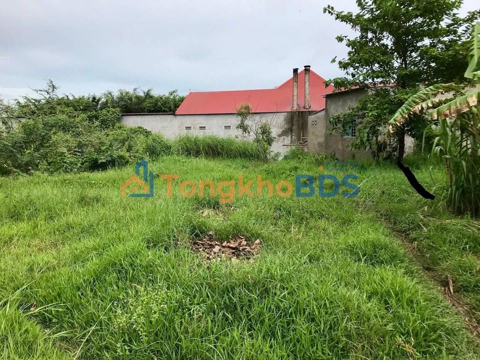 Bán Nền KDC Lộ Tẻ, Châu Thành, An Giang - 64m² Giá Tốt