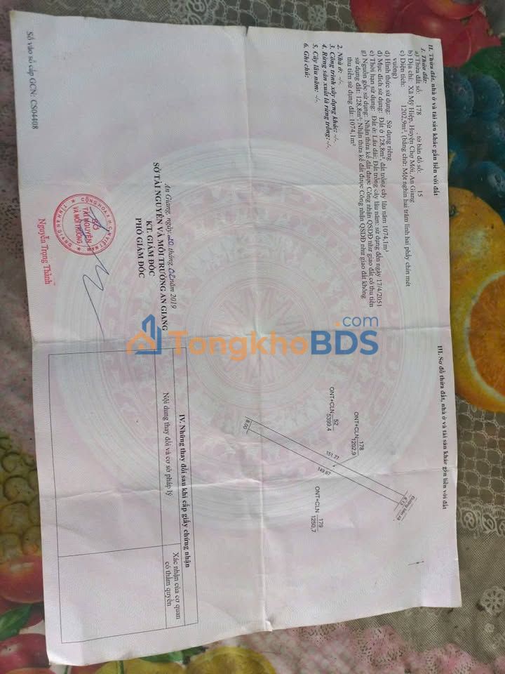 Đất nền mặt tiền đường nhựa liên xã Chợ Mới, An Giang - 1200m² giá 1.44 tỷ