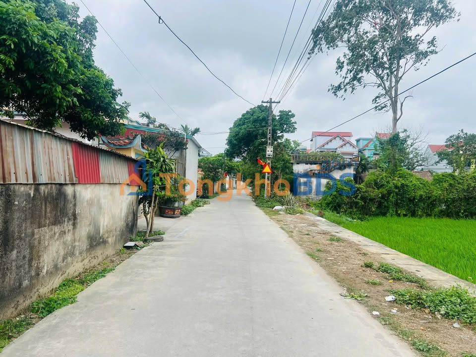 Bán đất Nga Hưng, Thanh Hóa 100m² - Đường Betong 7m, Sổ đỏ sẵn sàng