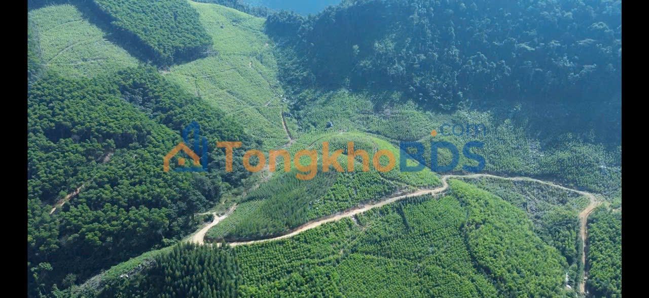 Đất rừng 6.3ha Bắc Kạn - Đầu tư sinh lời dài hạn