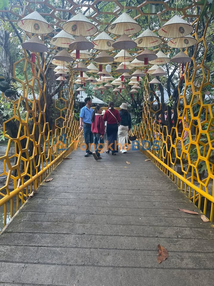 Đất nền QL14 Chư Pưh, Đắk Nông - 420m² Sổ hồng TC, Giá đầu tư 22.8 tỷ