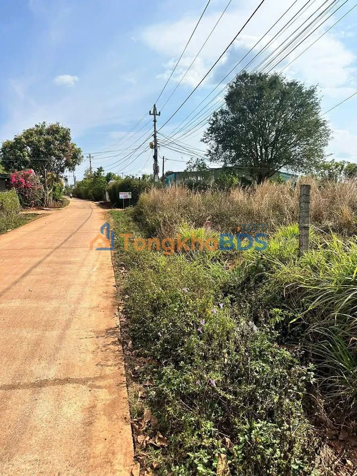 Đất Sổ Hồng Sẵn 135m² Tại Buôn Đôn - Giá Chỉ 599 Triệu