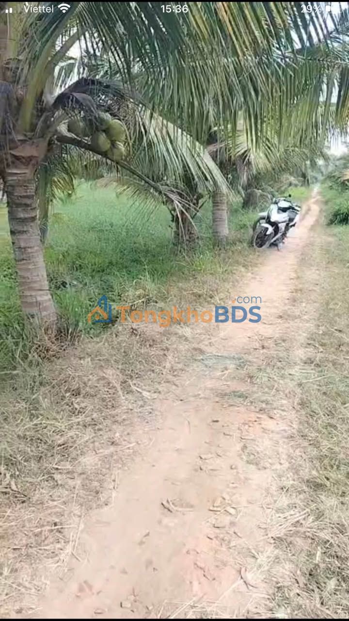 Đất Nền 340m² Ấp Sông Lộc, Trà Vinh - Sổ Đỏ Sẵn Sàng, Giá Đầu Tư 200 Triệu