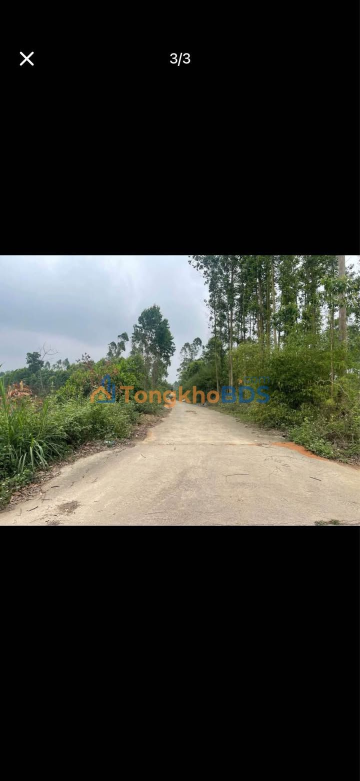 Bán Đất Thổ Cư 200m² Thị Trấn Phong Châu, Phú Thọ - Giá Tốt