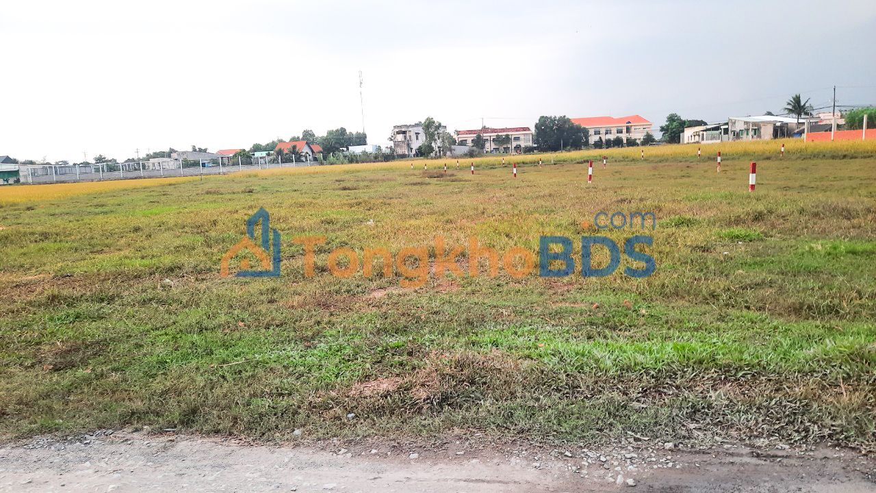 Đất Nền Đức Hòa Long An 1386m² - 2 Sổ Riêng Giá 7.5 Tỷ