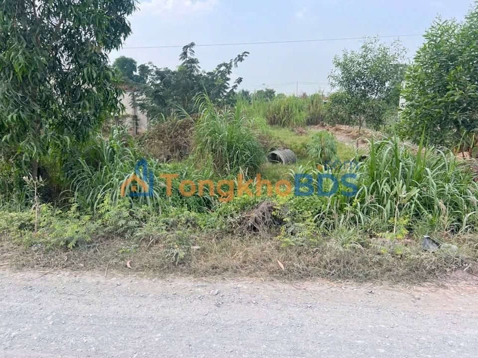 Đất Nền Mặt Kênh Hòa Khánh Nam - Đức Hòa 275m² - Giá Đầu Tư 1.7 Tỷ