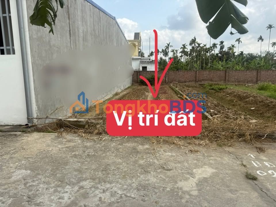 Bán Gấp Đất Kiều Hạ - An Dương 70m², Ngõ Ô Tô, Sổ Đỏ Chính Chủ