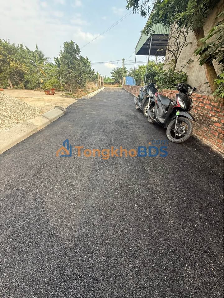 Đất nền An Lão 101.9m² - Mặt ngõ 4m, ô tô đỗ cửa, giá 1.5 tỷ