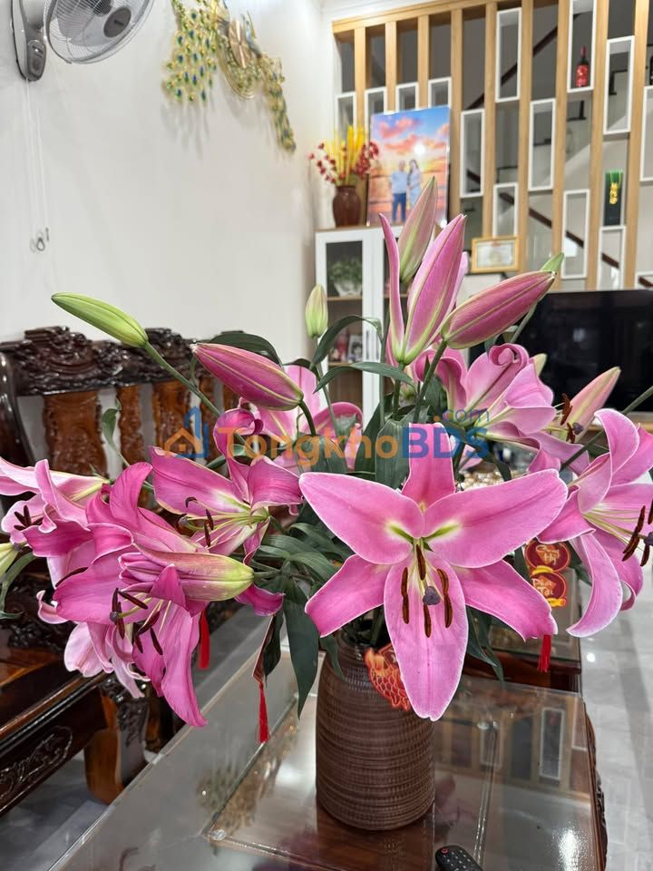 Đất Mặt Tiền Đặng Thai Mai, Buôn Hồ 165m² - Sổ Hồng Sẵn Sàng