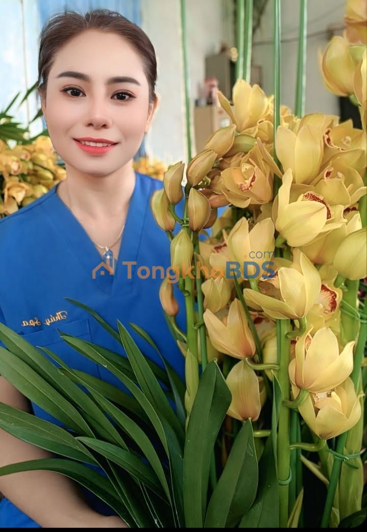 Đất nền Trần Nhật Duật, Buôn Hồ - 250m² thổ cư, 1.55 tỷ/lô