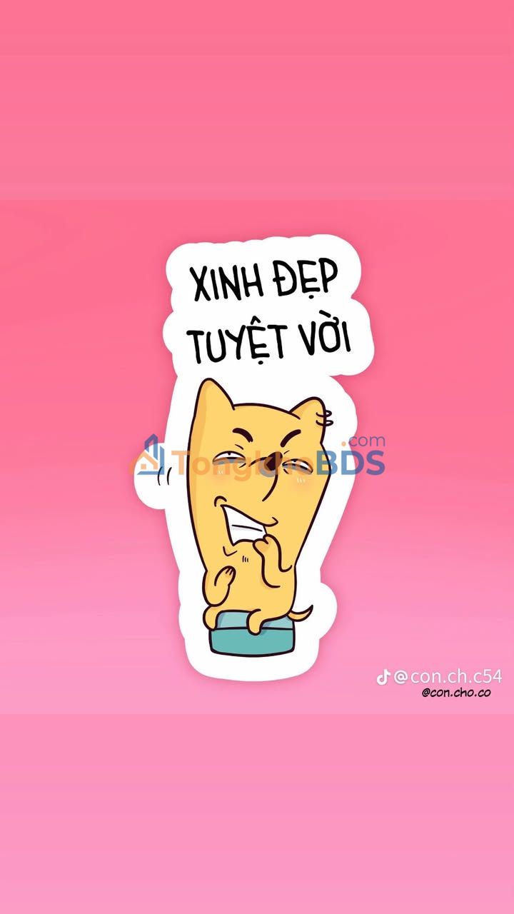 Cho thuê căn hộ Nguyễn Suý, Tân Phú - Gần Aeon Mall, VHU - Full nội thất