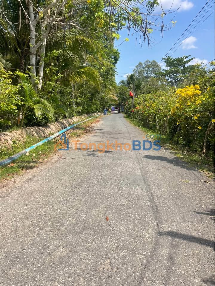 Đất Thổ Cư Vĩnh Long 91m² Mặt Tiền Đường Huyện - Giá Tốt