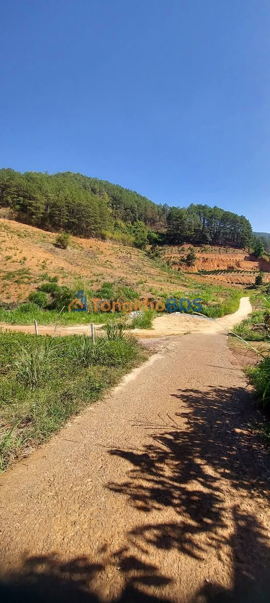 Đất Vĩnh Phúc 17.000m² Mặt Tiền Bê Tông - Giá Tốt 10.2 Tỷ