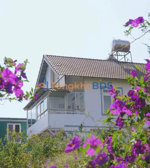 Bán Gấp Villa Sân Vườn Đà Lạt - P11, 192.5m² Hướng Nam - 8.5 Tỷ