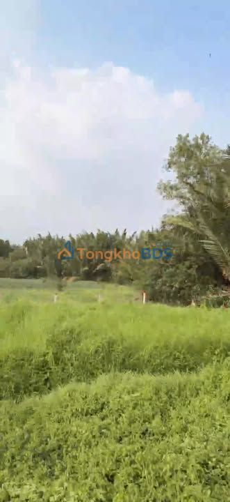 Đất Vườn 500m² Cần Giuộc - View Rạch Mát Mẻ, Giá 720 Triệu Chốt