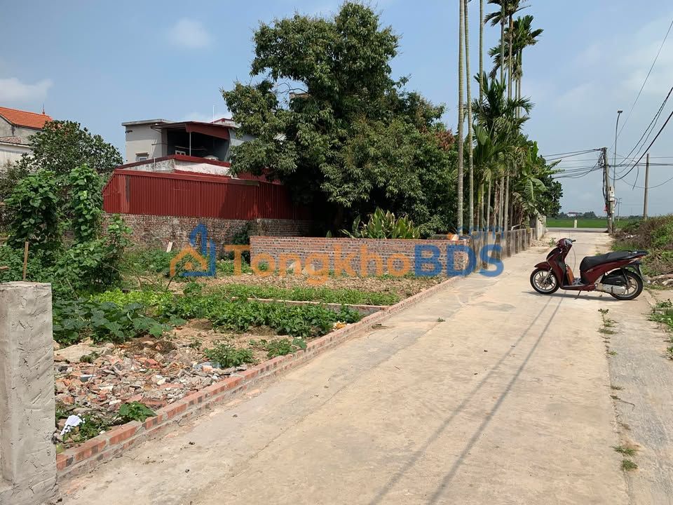 Đất Nền Vĩnh Bảo - 85m² Sẵn Sổ, Gần KCN Vinh Quang, Giá 1 Tỷ