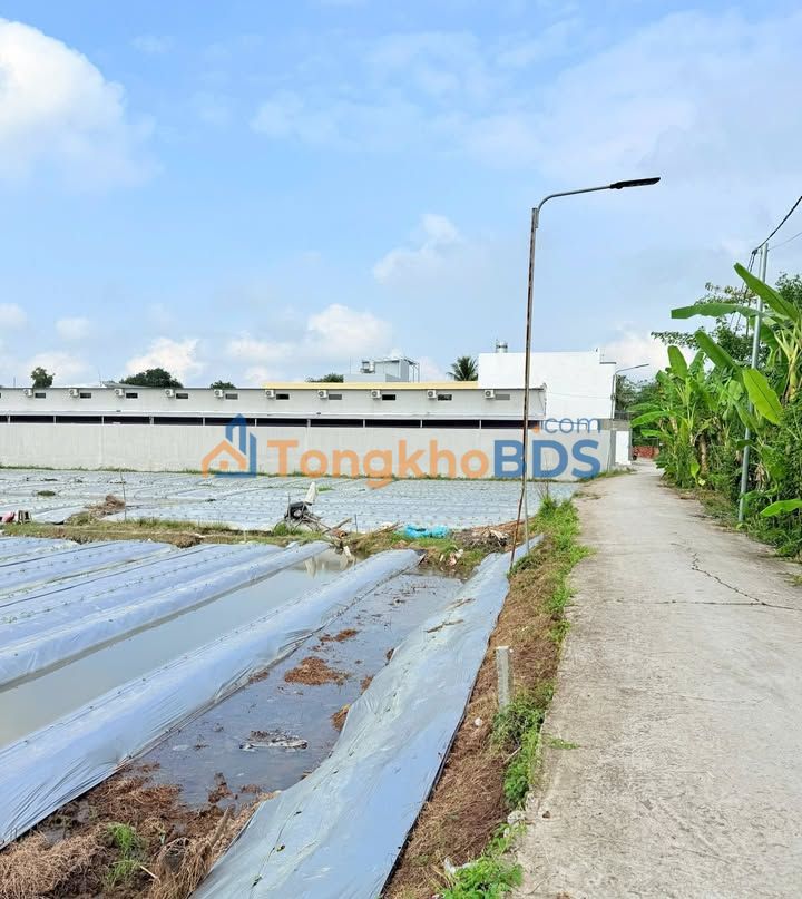 Bán Nền Mặt Tiền Gạch Vinh, Ninh Kiều - 468m² Thổ Cư, Tặng Đất Đối Diện