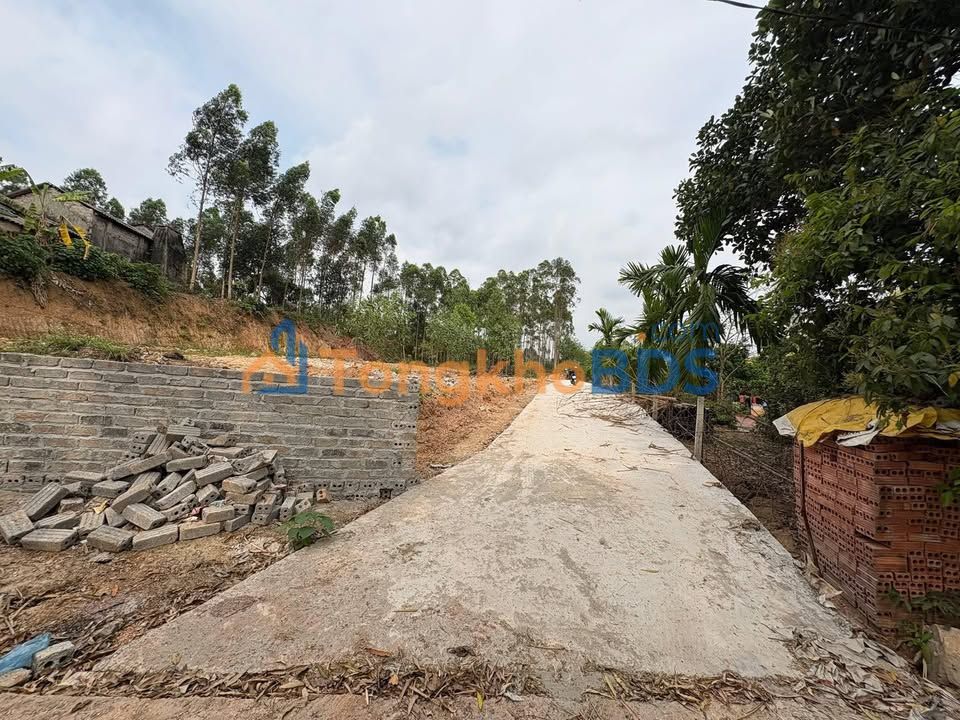 Bán đất Lạng Giang 145m² - Sổ TC, ô tô đỗ tận đất