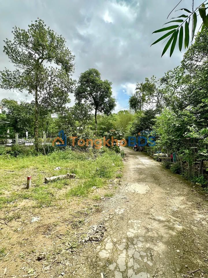 Đất 100.2m² Minh Mạng, Huế - Sổ hồng chính chủ, ô tô tận nơi