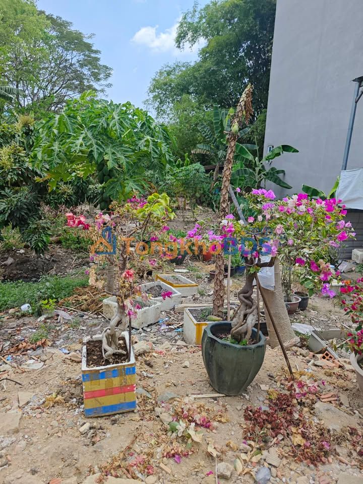 Bán Đất Trung Tâm Quận 2 - 105m² Sổ Riêng Giá 7 Tỷ