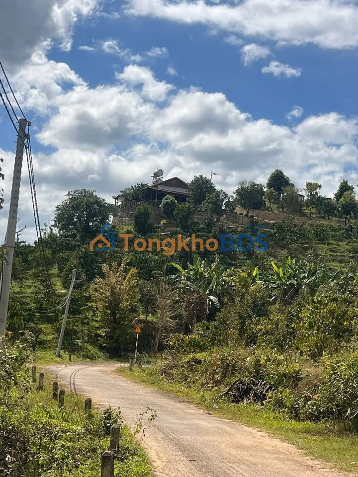 Bán Gấp 14400m² Đất Vườn Mặt Tiền Đường Nhựa, Liền Kề Khu Nghỉ Dưỡng SG - Lâm Đồng