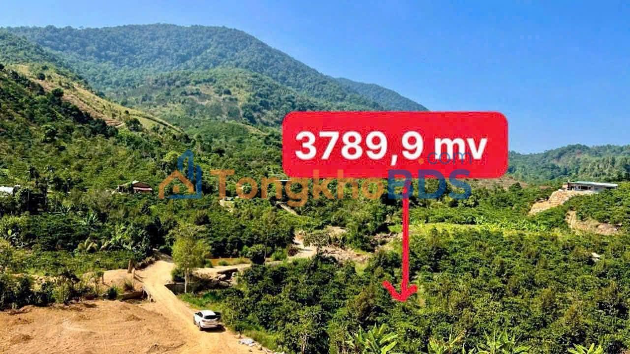 Đất Vườn 10800m² Bảo Lâm - View Suối Đá, Giá 1.399 Tỷ