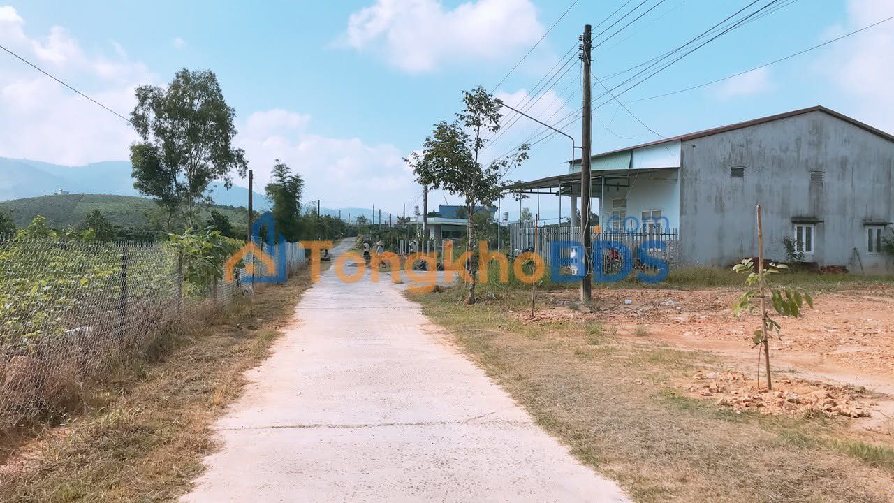 Đất Vườn 1200m² Bảo Lộc - Sổ Hồng Thổ Cư 100% - Giá Đầu Tư 2.1 Tỷ