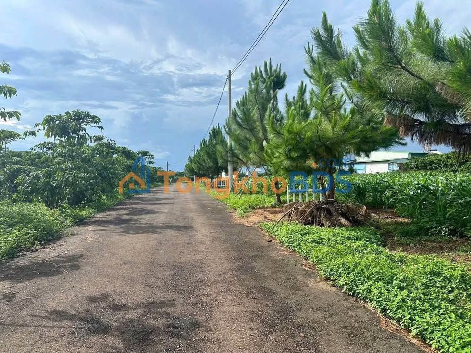 Đất Nền Bảo Lâm 320m² Sổ Đỏ Sẵn - Giá Đầu Tư 680 Triệu/Lô