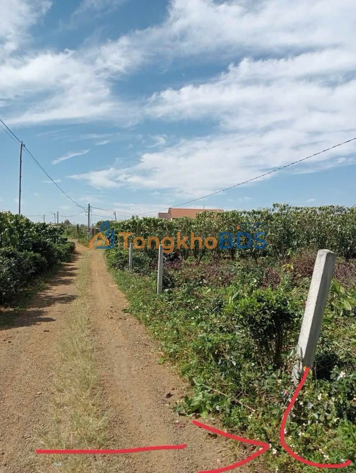 Đất Mặt Tiền Hẻm 322 Hàm Nghi, Bảo Lộc 174m² - Giá 650 Triệu