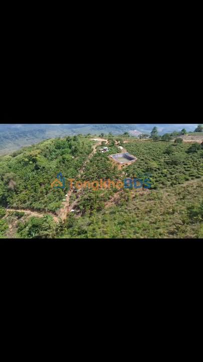 Bán Đất Vườn Lộc Bắc Bảo Lâm 10.100m² - Sổ Hồng Sẵn, Ô Tô Tới Nơi